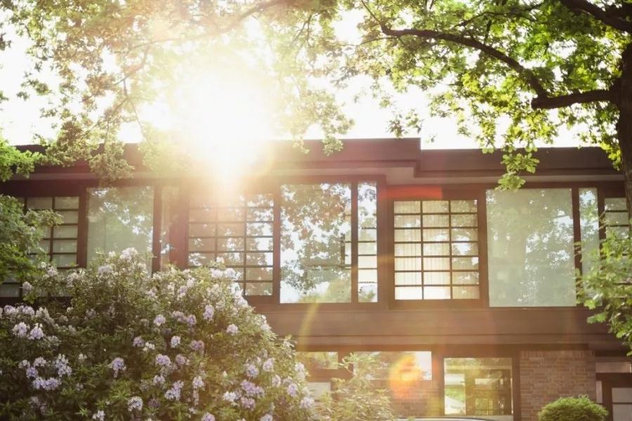 贝斯特集团倾力打造洛北千亩理想之境